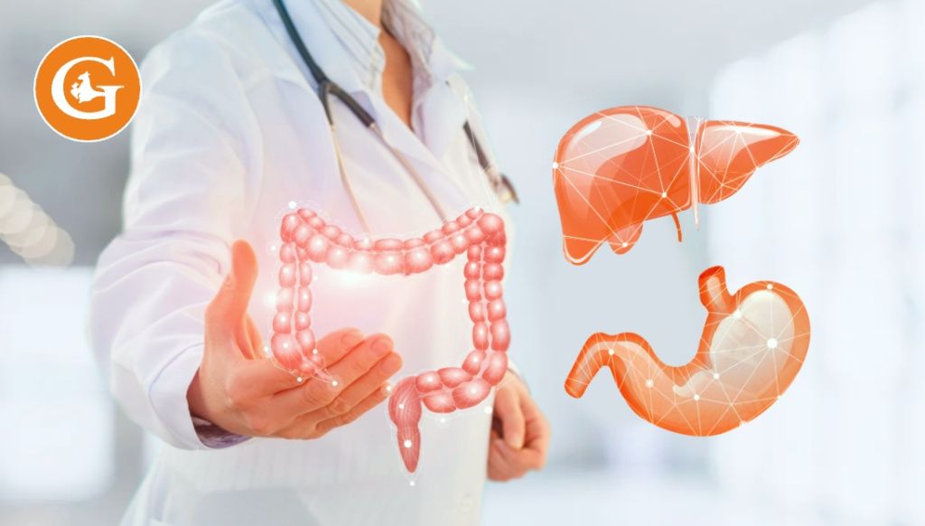 Комбинированная резекция ободочной кишки с резекцией соседних органов